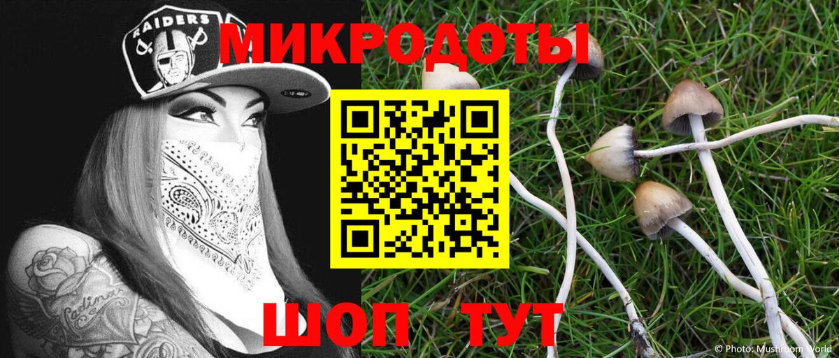 Псилоцибиновые грибы GOLDEN TEACHER  Псилоцибиновые грибы MAGIC MUSHROOMS  Вход с VPN  Медногорск 