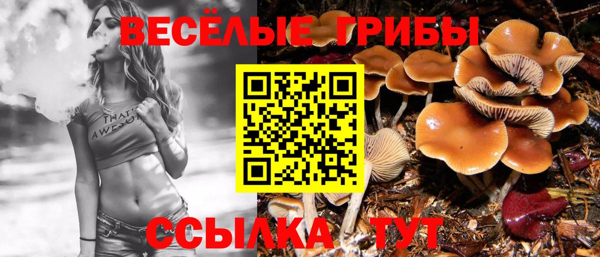 МЕФ Медногорск