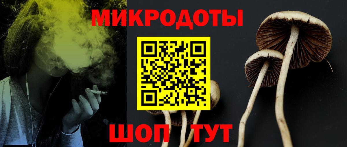 Псилоцибиновые грибы Magic Shrooms Медногорск